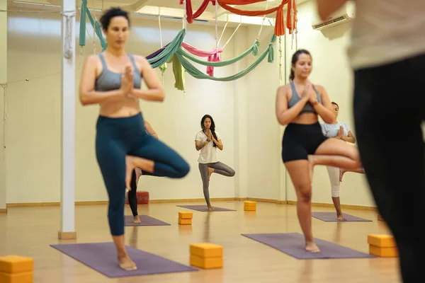 Grupo Mulheres Aula Ioga Praticando Postura Vrikshasana Yoga Imagens Royalty-Free