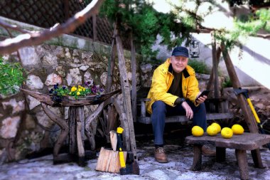 A man in his fifties in an orchard taking pictures of lemon fruit. Bench, gardening tools.