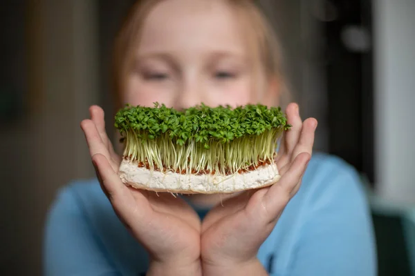 sprouts of microgreens in childrens hands Raw sprouts, microgreens, healthy eating concept.