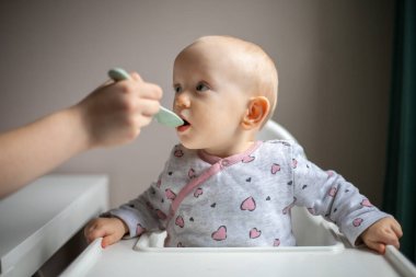 Baby girl eating blend mashed food sitting, on high chair, mother feeding child, hand with spoon for vegetable lunch, baby weaning, first solid food for young kid.