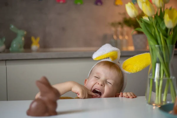 A cute little boy wearing bunny ears on Easter day wants to eat a chocolate easter bunny. A child plays egg hunt for Easter. Charming child celebrates Easter at home.