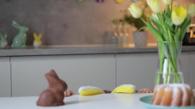 Paskalya gününde tavşan kulağı takan şirin bir çocuk çikolatalı tavşan yemek istiyor. Bir çocuk Paskalya için yumurta avı oynuyor. Sevimli çocuk Paskalyayı evde kutluyor..