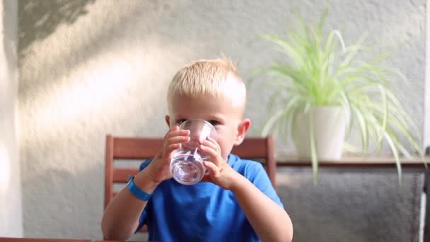 Klein Schattig Jongetje Drinkwater Uit Een Helder Glas — Stockvideo
