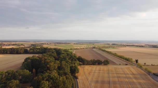 有田地和树木的农田的空中景观 — 图库视频影像