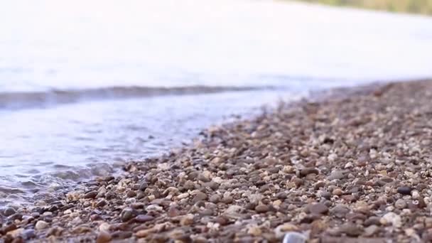 Nehir Kıyısında Çakıl Dalgalar — Stok video