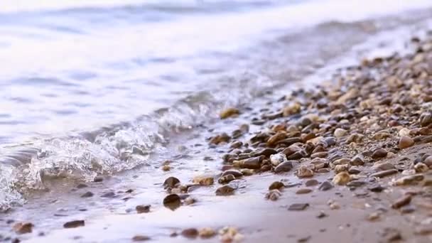 Pebbles Waves River Shore — Stock Video
