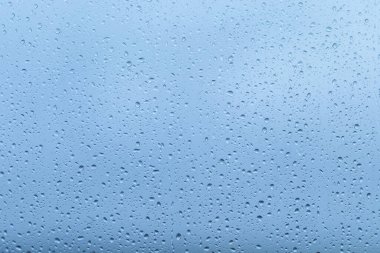 Pencerede yağmur damlaları birikir, dışarıdaki manzarayı bulanıklaştırır ve huzurlu bir ortam yaratır, yağmurlu bir öğleden sonranın sükunetini yansıtır..