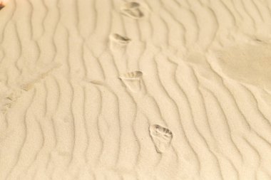 Ayak izleri sahil boyunca kumlu bir patikayı işaret ediyor, güneş batarken yavaşça kıyıya doğru gidiyor, manzarada sıcak bir parıltı yayıyor..