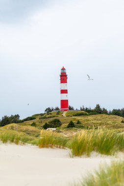 Koyu kırmızı ve beyaz çizgilerle boyanmış deniz feneri kumlu kumullara ve bulutlu gökyüzü ile çevrili çimenli bir manzaraya tepeden bakar. Kuşlar havada süzülür..