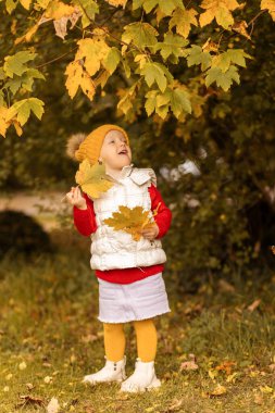 Kırmızı kazak, beyaz yelek ve sarı tayt giymiş bir çocuk bir ağacın altında parlak sonbahar yapraklarını tutarken neşeyle gülümsüyor. Sahne güzel bir sonbahar gününü yakalar..