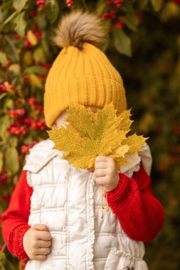Parlak sarı bir şapka ve beyaz bir yelek giyen bir çocuk, bahçedeki renkli sonbahar yapraklarıyla çevrili büyük sarı bir yaprakla yüzünü saklar..