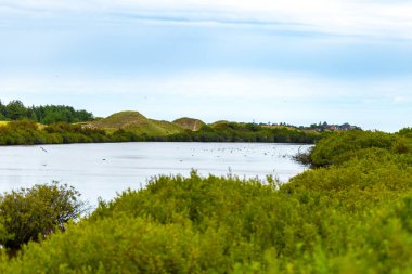 Yumuşak, bulutlu bir gökyüzünün altında, arka planda yükselen yumuşak tepelerle, canlı yeşil çalıların ve ağaçların arasında kıvrılarak, huzurlu bir doğal ortam oluşturan sakin bir nehir..