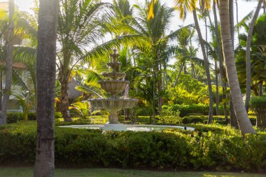 Canlı yeşilliklerle çevrili sakin bir çeşme ve altın saat boyunca tropikal bir bahçenin huzurunu yakalayan palmiye ağaçları. Su kademelerden yavaşça akar ve huzurlu bir atmosfer yaratır..