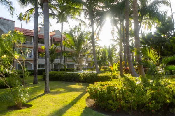 Tropik bir tatil beldesindeki canlı bir bahçede öğleden sonra güneşinin ılık parıltısı altında uzun palmiye ağaçları ve çiçek açan bitkiler bulunur. Misafirler sakin atmosferin tadını çıkarıyorlar..