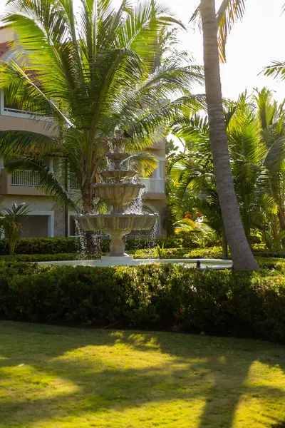 Güzel bir çeşme, yüksek palmiye ağaçları ve canlı yeşilliklerle çerçevelenmiş bir tatil köyü bahçesinde usulca çağlayarak günbatımında sakin bir atmosfer yaratır..