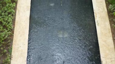 Yağmur, sakin bir göletin yüzeyine nazikçe düşer ve canlı yeşilliklerle çevriliyken dalgaların oluşmasına neden olur. Atmosfer huzur dolu, doğanın güzelliğini yansıtıyor..