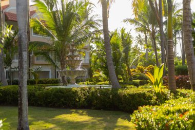 Bereketli palmiye ağaçları ve canlı bitkiler tropik bir tatil köyü bahçesinde güzel bir çeşme oluştururlar. Güneş ışığı yaprakların arasından süzülüp günbatımında sakin bir atmosfer yaratır..
