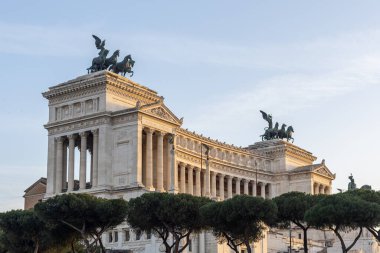 Roma 'da Vittoriano' da akşam gökyüzünün altında çam ağaçlarıyla.