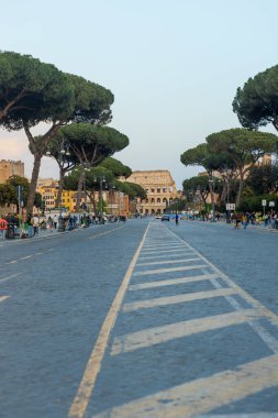 Rom, Italien - 22 Nisan 2025: Görkemli ağaçlar tarafından çerçevelenmiş sakin bir bulvar uzanıyor. Altın saatin yumuşak ışığı tarihi binaları silip süpürüyor, Roma 'nın kalbindeki keşifleri davet ediyor..