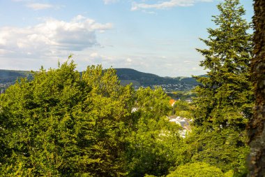 Bereketli ağaçlar ve yeşil yapraklar manzaraya hükmediyor, açık mavi gökyüzünün altında görünen tepeler, doğanın sakin ve huzurlu atmosferini yakalıyor..
