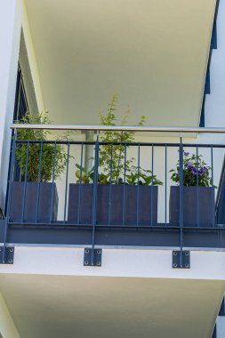 Bir balkon canlı yeşil bitkiler ve çiçeklerle dolu birkaç büyük saksı ile süslenir. Sahne güneşli bir günü yakalıyor, yeşillik ve kentsel ortamı vurguluyor.