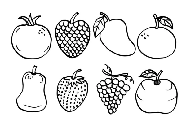 stock vector Various fruit sketch on white background.vector illustration.