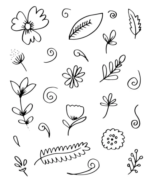 Ręcznie Rysowane Elementy Kwiatowe Liściaste Oprawy Ślubnej Logo Kartki Okolicznościowej — Wektor stockowy