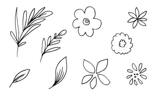 Eine Sammlung Handgezeichneter Blumenmotive Wie Glockenblumen Chrysanthemen Sonnenblumen Baumwollblumen Und — Stockvektor