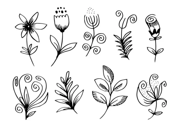 Een Verzameling Van Met Hand Getekende Bloemenbeelden Zoals Klokbloemen Chrysanten — Stockvector