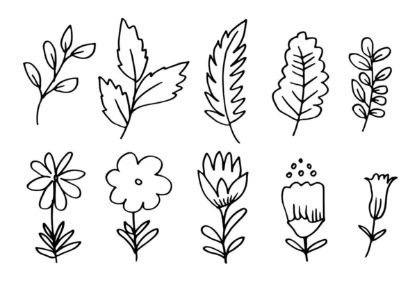 Samling Handritade Blombilder Såsom Klockblomma Krysantemum Solrosor Bomullsblommor Och Tropiska — Stock vektor