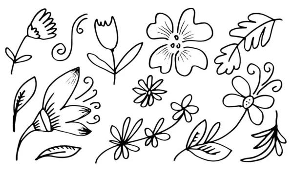 一系列手工绘制的花卉图像 如钟花 向日葵 棉花和热带树叶 — 图库矢量图片