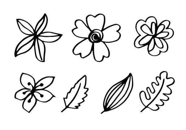 Collection Hand Drawn Flower Images Bell Flower Chrysanthemums Sunflowers Cotton — Stockvector