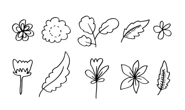 Collection Hand Drawn Flower Images Bell Flower Chrysanthemums Sunflowers Cotton — Stockvektor