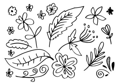 Çan çiçeği, kasımpatı, ayçiçeği, pamuk ve tropikal yapraklar gibi el yapımı çiçek resimleri koleksiyonu.