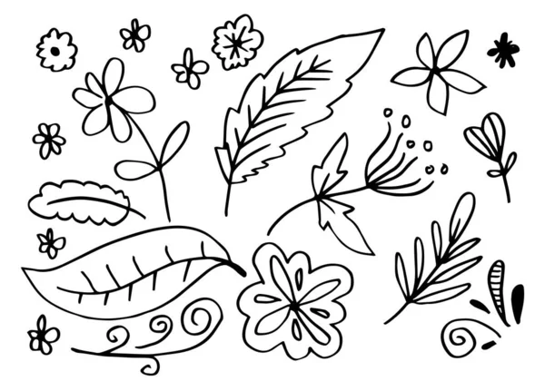 Çan çiçeği, kasımpatı, ayçiçeği, pamuk ve tropikal yapraklar gibi el yapımı çiçek resimleri koleksiyonu.