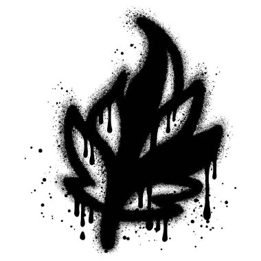 Sprey boyalı grafiti yaprakları, beyaz bir arkaplan ile izole edilmiş..