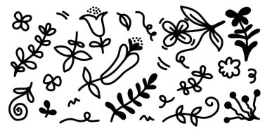 Çan çiçeği, kasımpatı, ayçiçeği, pamuk ve tropikal yapraklar gibi el yapımı çiçek resimleri koleksiyonu.