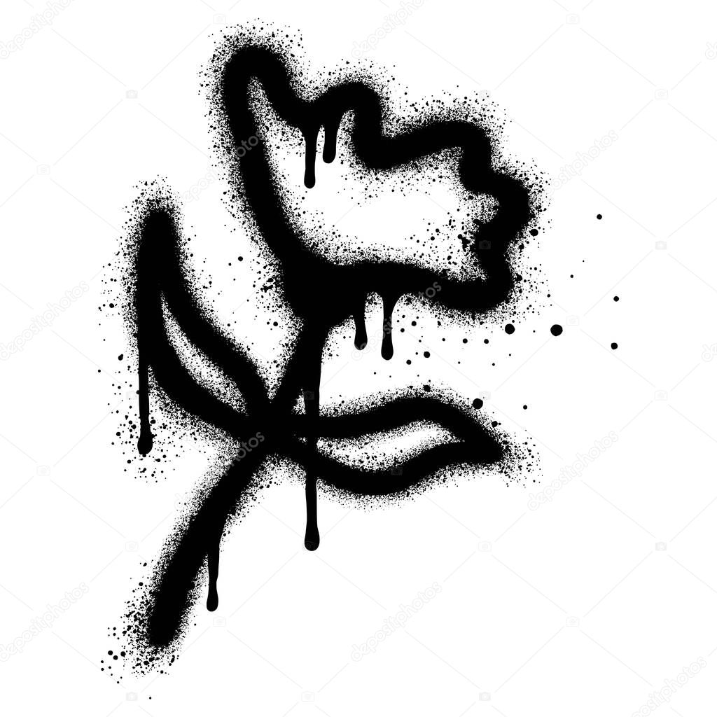 Spray Painted Graffiti flower Sprayed isolated with a white background.