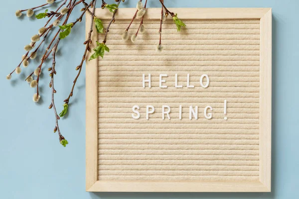 Letter Board with quote HELLO SPRING and with green branches on a blue background, minimalism style composition. Springtime welcome concept. View from above.