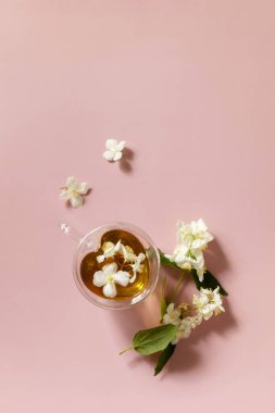 Bir fincan yasemin çayı ve pembe pastel arka planda yasemin çiçekleri. Organik doğal içecek konsepti. Yukarıdan görüntüle. 