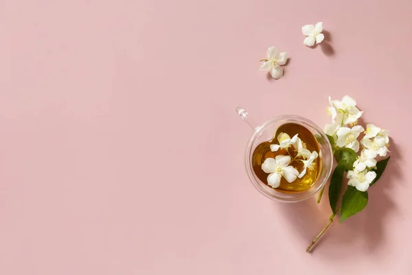 Bir Fincan Yasemin Çayı Pembe Pastel Arka Planda Yasemin Çiçekleri — Stok fotoğraf
