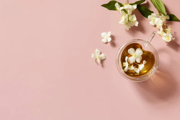 Bir Fincan Yasemin Çayı Pembe Pastel Arka Planda Yasemin Çiçekleri — Stok fotoğraf
