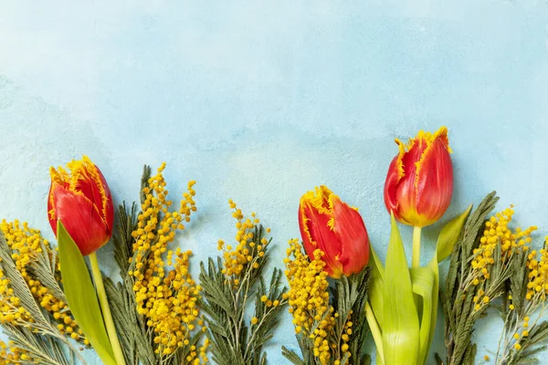 Çiçek Açan Laleler Mavi Arka Planda Mimoza Bahar Konsepti Çiçek — Stok fotoğraf