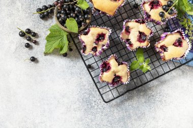 Vejetaryen glütensiz pasta. Yulaf ezmeli muzlu kekler ve üzerinde siyah frenk üzümü olan taş bir masa. Sağlıklı bir tatlı. Yukarıdan bak. Boşluğu kopyala