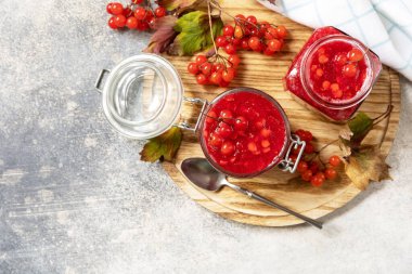 Taze taze viburum çileği. Hazırlık vitamini ve antioksidan çayı için şekerli. Doğal vitaminlerin kaynağı. Halk tıbbında kullanılır. Yukarıdan bak. Boşluğu kopyala.
