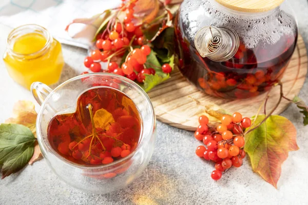 Jesienna Herbata Owocowy Napój Sezonowy Viburnum Filiżanka Zdrowej Herbaty Viburnum — Zdjęcie stockowe