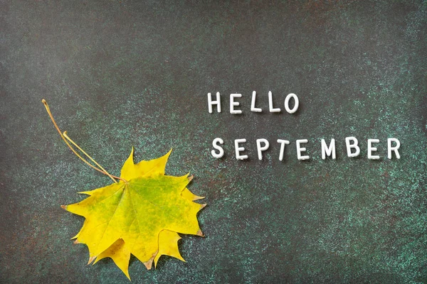 Olá Texto Setembro Composição Outono Com Folhas Coloridas Aconchegante Clima — Fotografia de Stock