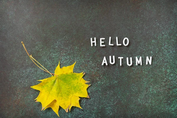 Hello Autumn Text Autumn Composition Colorful Leaves Cozy Autumn Mood — Stock Photo, Image