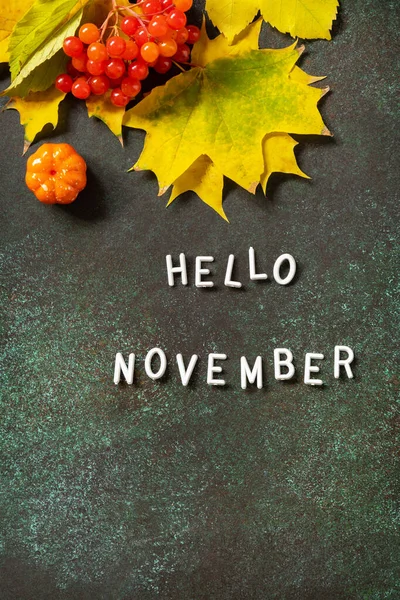 Olá Texto Novembro Composição Outono Com Folhas Coloridas Bagas Natureza — Fotografia de Stock