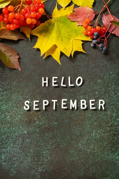 Olá Texto Setembro Composição Outono Com Folhas Coloridas Bagas Natureza — Fotografia de Stock